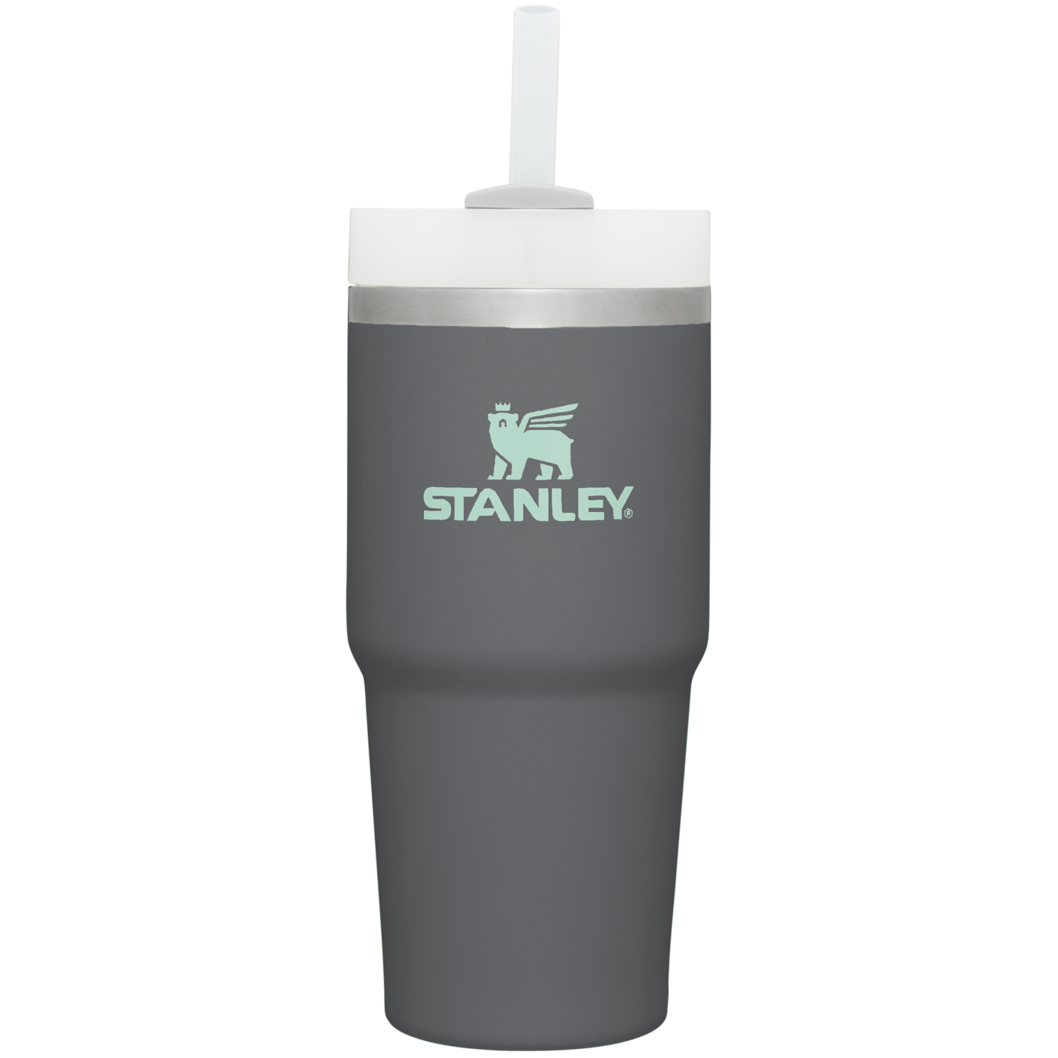 The Quencher H2.0 FlowState™ Tumbler | 14 OZ - Stanley Create