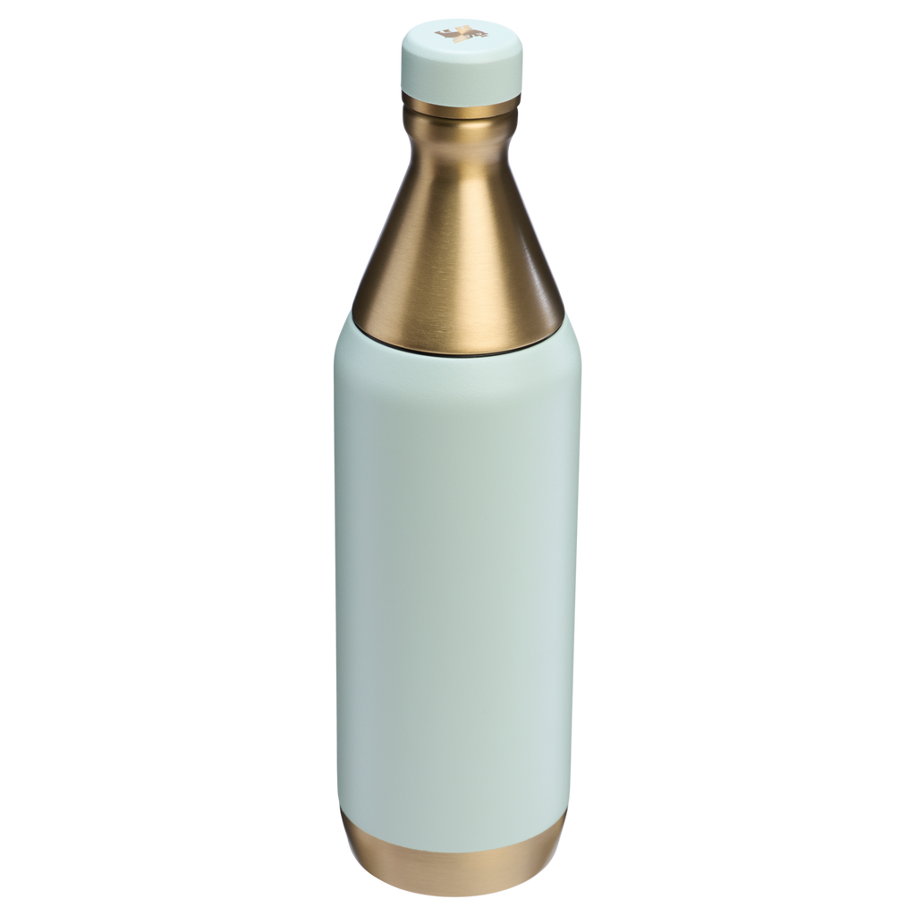 All Day Slim Bottle | 20 OZ - Stanley Create