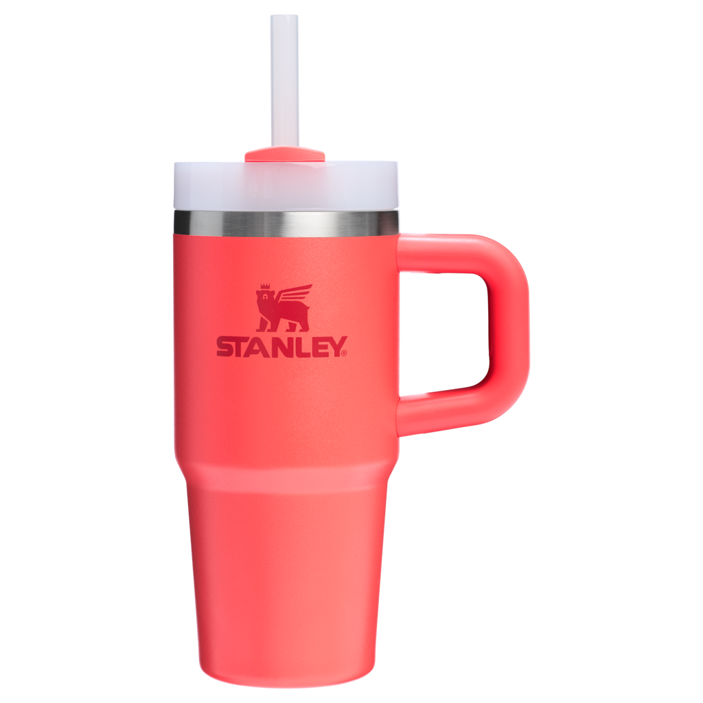 The Quencher H2.O FlowState™ Tumbler | 14 OZ - Stanley Create
